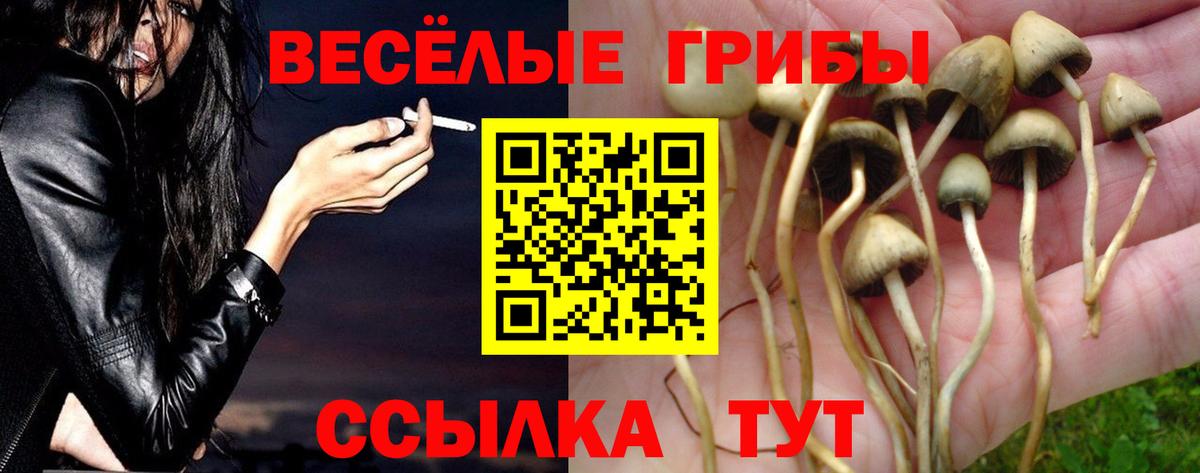 Лабинск  Галлюциногенные грибы ЛСД  Вход с VPN 